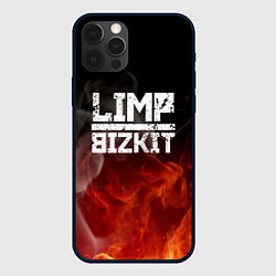 Чехол для iPhone 12 Pro Max LIMP BIZKIT, цвет: 3D-черный