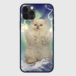 Чехол для iPhone 12 Pro Max Грозовой Котик, цвет: 3D-черный
