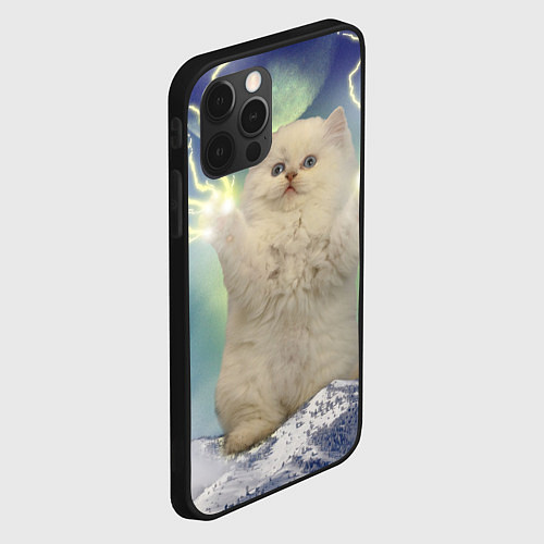 Чехол iPhone 12 Pro Max Грозовой Котик / 3D-Черный – фото 2