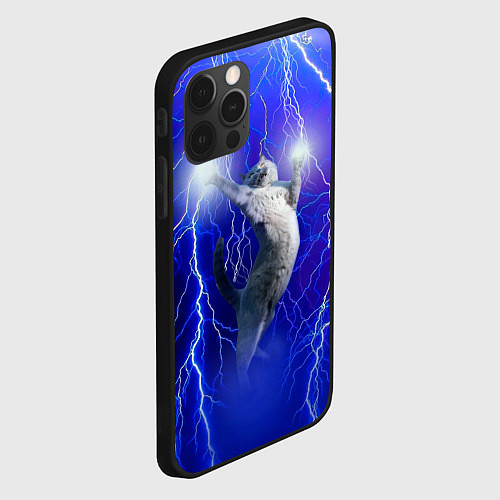 Чехол iPhone 12 Pro Max Грозовой кошак / 3D-Черный – фото 2