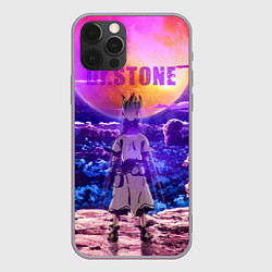 Чехол для iPhone 12 Pro Max Доктор Стоун, цвет: 3D-серый