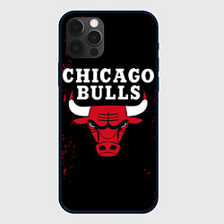 Чехол для iPhone 12 Pro Max CHICAGO BULLS, цвет: 3D-черный