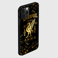 Чехол для iPhone 12 Pro Max LIVERPOOL ЛИВЕРПУЛЬ, цвет: 3D-черный — фото 2