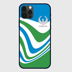 Чехол для iPhone 12 Pro Max Узбекистан - герб страны, цвет: 3D-черный