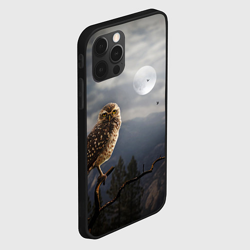 Чехол iPhone 12 Pro Max Сова / 3D-Черный – фото 2