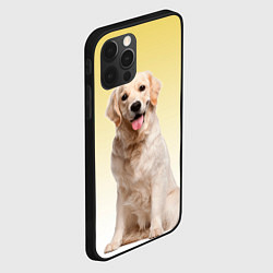 Чехол для iPhone 12 Pro Max Лабрадор ретривер пес, цвет: 3D-черный — фото 2