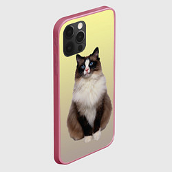 Чехол для iPhone 12 Pro Max Персидская пушистая кошка, цвет: 3D-малиновый — фото 2