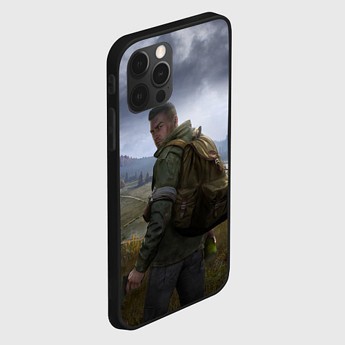 Чехол iPhone 12 Pro Max DAYZ POSTER ДЕЙЗИ ПОСТЕР Z / 3D-Черный – фото 2