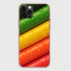 Чехол iPhone 12 Pro Max Цветные линии