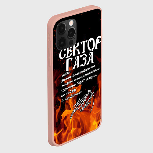 Чехол iPhone 12 Pro Max СЕКТОР ГАЗА FIRE / 3D-Светло-розовый – фото 2