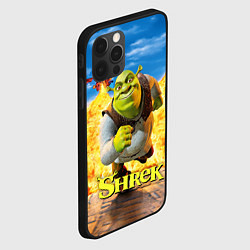 Чехол для iPhone 12 Pro Max Шрек и дракон, цвет: 3D-черный — фото 2