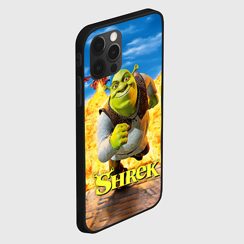 Чехол iPhone 12 Pro Max Шрек и дракон / 3D-Черный – фото 2