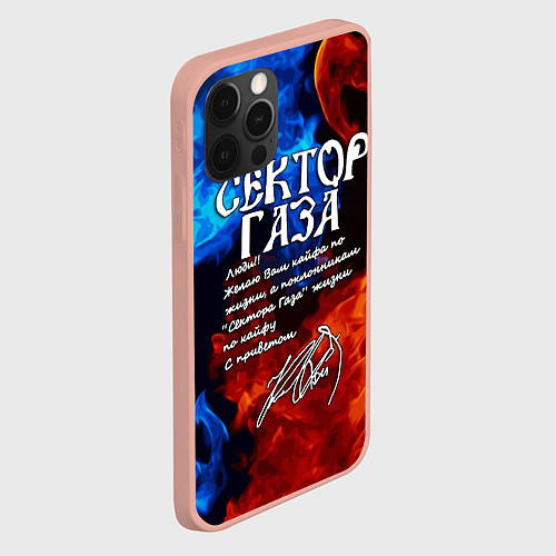 Чехол iPhone 12 Pro Max СЕКТОР ГАЗА КАЙФА ПО ЖИЗНИ / 3D-Светло-розовый – фото 2