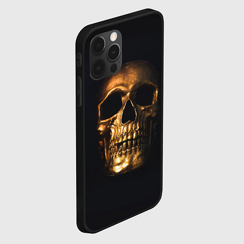 Чехол iPhone 12 Pro Max Golden Skull / 3D-Черный – фото 2