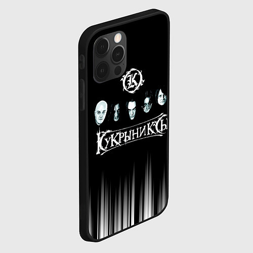 Чехол iPhone 12 Pro Max Кукрыниксы состав группы / 3D-Черный – фото 2