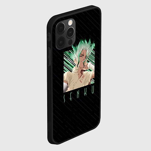 Чехол iPhone 12 Pro Max Сенку Ишигами в квадрате / 3D-Черный – фото 2