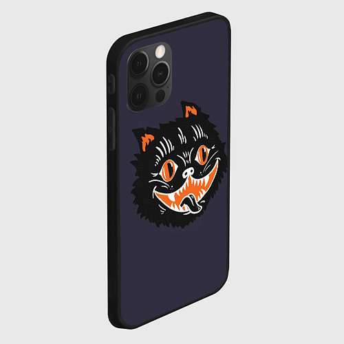 Чехол iPhone 12 Pro Max Одержимый кот / 3D-Черный – фото 2