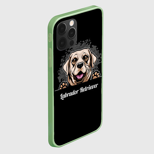 Чехол iPhone 12 Pro Max Лабрадор-Ретривер Labrador Retriever / 3D-Салатовый – фото 2