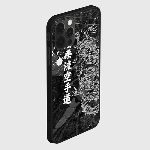 Чехол iPhone 12 Pro Max Токийский Дракон Иероглифы Dragon Japan / 3D-Черный – фото 2