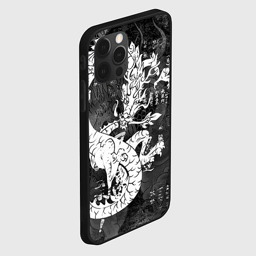 Чехол iPhone 12 Pro Max ЧБ Японский Дракон Dragon Иероглифы / 3D-Черный – фото 2