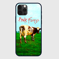 Чехол для iPhone 12 Pro Max Atom Heart Mother - Pink Floyd, цвет: 3D-черный