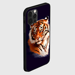 Чехол для iPhone 12 Pro Max Грозный Тигр Символ 2022 Года Tiger Beast, цвет: 3D-черный — фото 2