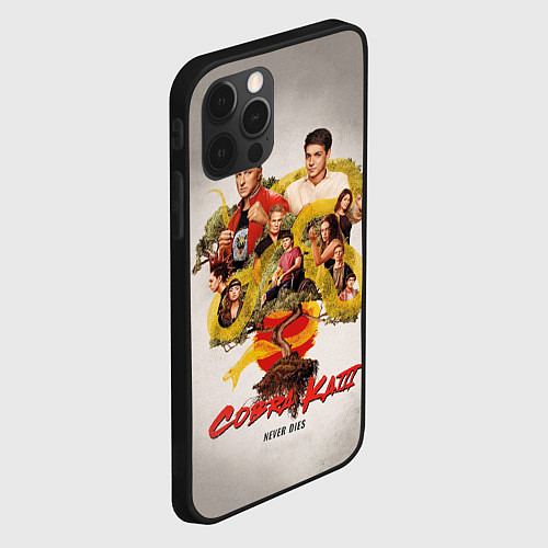 Чехол iPhone 12 Pro Max КОБРА КАЙ COBRA KAI / 3D-Черный – фото 2