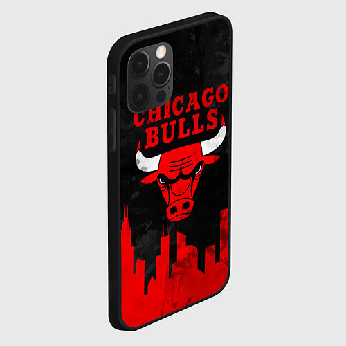 Чехол iPhone 12 Pro Max Chicago Bulls, Чикаго Буллз Город / 3D-Черный – фото 2