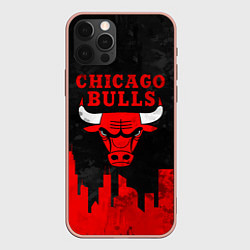 Чехол iPhone 12 Pro Max Chicago Bulls, Чикаго Буллз Город