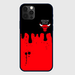 Чехол для iPhone 12 Pro Max Chicago Bulls Чикаго Буллз Логотип, цвет: 3D-черный