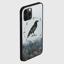 Чехол для iPhone 12 Pro Max ВОРОН НА РУНАХ РУНЫ, цвет: 3D-черный — фото 2