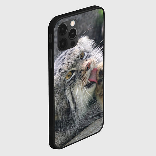 Чехол iPhone 12 Pro Max Манул Лапка / 3D-Черный – фото 2