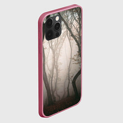 Чехол для iPhone 12 Pro Max Лес Туман, цвет: 3D-малиновый — фото 2
