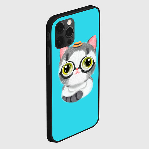 Чехол iPhone 12 Pro Max CAT IN A HAT / 3D-Черный – фото 2