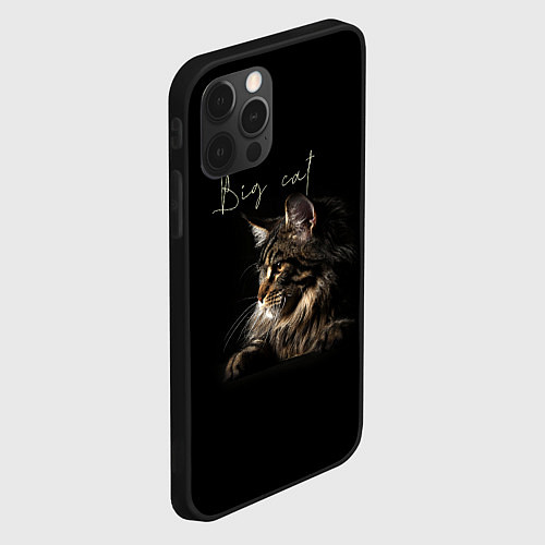 Чехол iPhone 12 Pro Max Big cat Maine Coon / 3D-Черный – фото 2