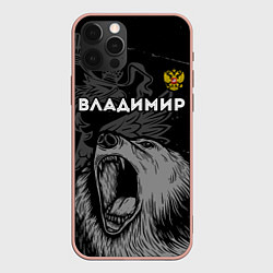 Чехол iPhone 12 Pro Max Владимир Россия Медведь