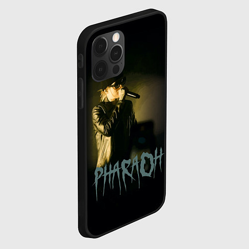 Чехол iPhone 12 Pro Max PHARAOHHH / 3D-Черный – фото 2