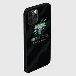 Чехол для iPhone 12 Pro Max The Witcher School of the Cat, цвет: 3D-черный — фото 2