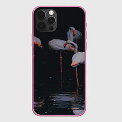 Чехол для iPhone 12 Pro Max Фламинго - вода, цвет: 3D-малиновый