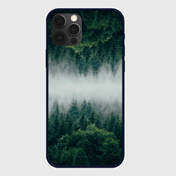 Чехол для iPhone 12 Pro Max ЗЕРКАЛЬНЫЙ ТУМАННЫЙ ЛЕС, цвет: 3D-черный