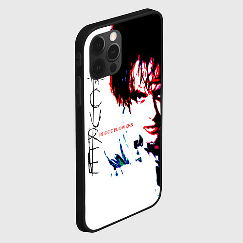 Чехол iPhone 12 Pro Max Bloodflowers - The Cure / 3D-Черный – фото 2