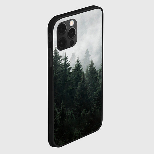 Чехол iPhone 12 Pro Max Туманный хвойный лес / 3D-Черный – фото 2