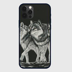 Чехол для iPhone 12 Pro Max Три волка, цвет: 3D-черный