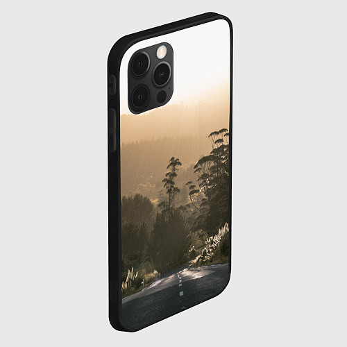 Чехол iPhone 12 Pro Max Дорога в закaт / 3D-Черный – фото 2