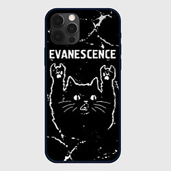 Чехол для iPhone 12 Pro Max Группа Evanescence и рок кот, цвет: 3D-черный