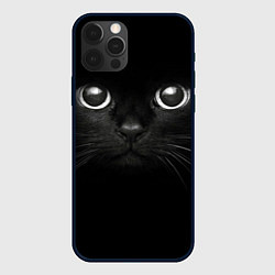 Чехол iPhone 12 Pro Max Взгляд чёрного кота
