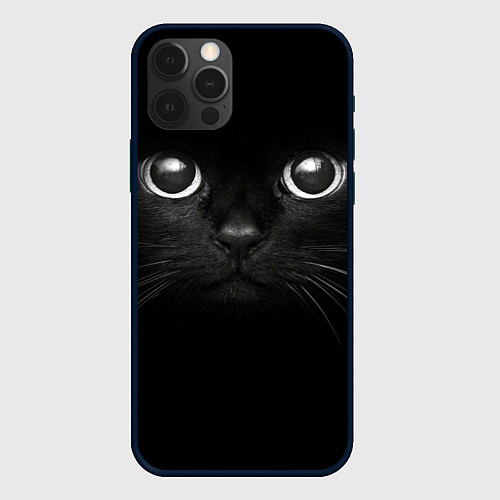 Чехол iPhone 12 Pro Max Взгляд чёрного кота / 3D-Черный – фото 1