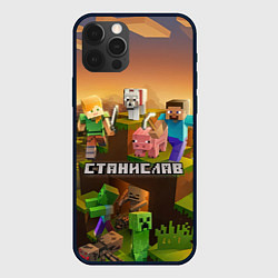 Чехол для iPhone 12 Pro Max Станислав Minecraft, цвет: 3D-черный