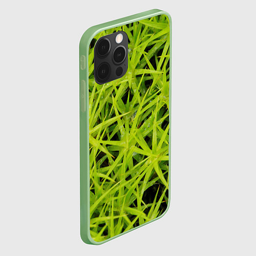 Чехол iPhone 12 Pro Max Сфагнум / 3D-Салатовый – фото 2