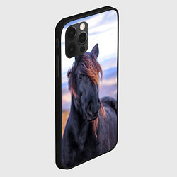 Чехол для iPhone 12 Pro Max Черный конь, цвет: 3D-черный — фото 2